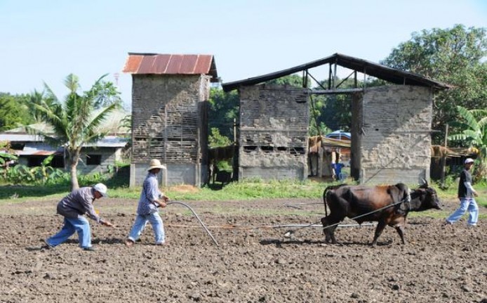 黄鹤楼视窗中支价格表图一览表 黄鹤楼视窗中支价钱批发 