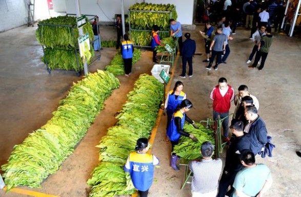 来袭！2022进口香烟网上商城“三天打鱼，”