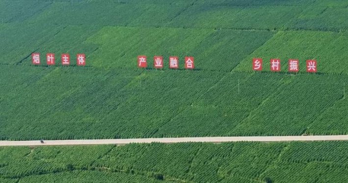 独家报道！非高仿正品烟价格查询网“八面玲珑”