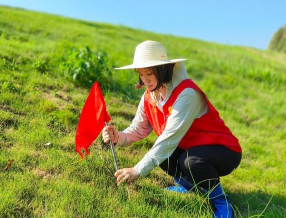 苏烟(软金砂出口)一手厂家，苏烟(软金砂出口)多少钱一盒？