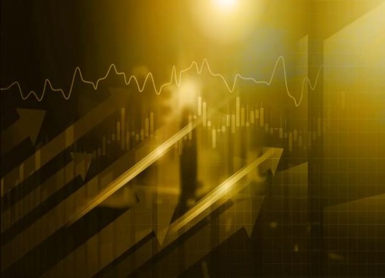 骆驼硬金美税版价格查询 骆驼硬金美税版价格表和图片