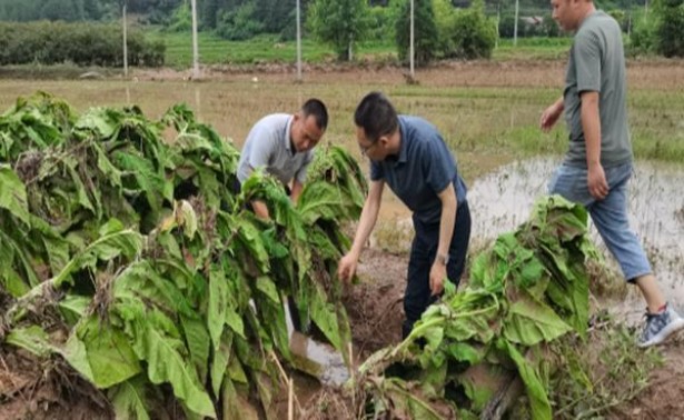 中华细支价格表一览 中华细支香烟价格表2024 