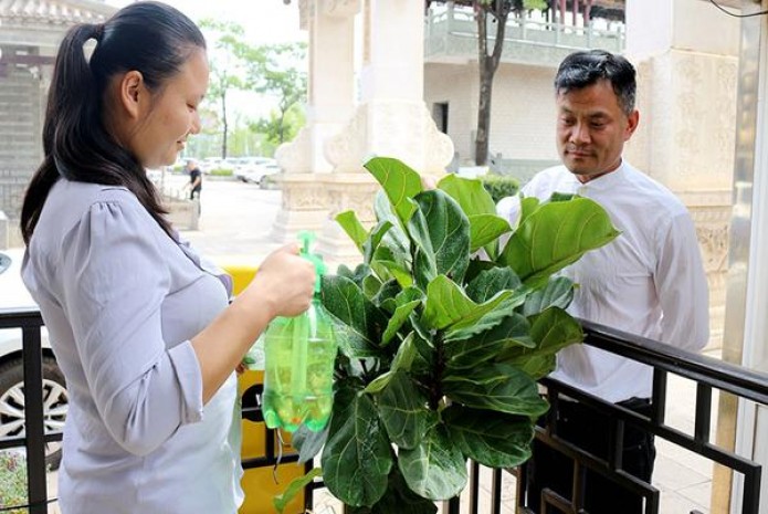长寿(尊爵3号)一手货源，长寿(尊爵3号)什么价格？