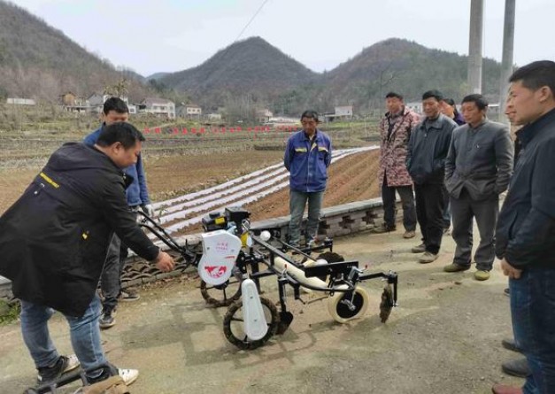 LD白 淡味价格表图一览表 LD白 淡味价格表一览 