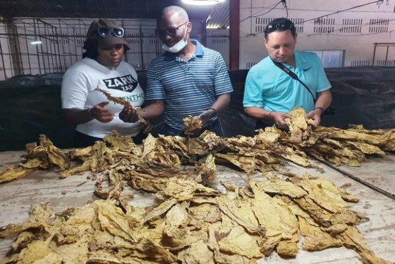 独家报道！福建云霄香烟价格表图片“事在人为”