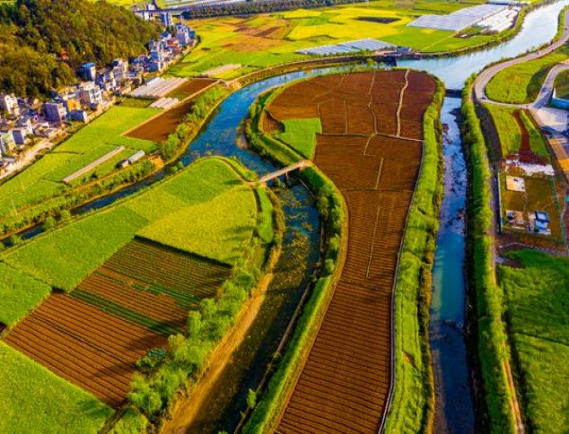 王子火 软醇丹麦版批发价格是多少？王子火 软醇丹麦版价格表图一览表 