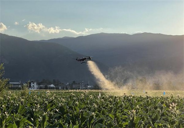 摩尔(软绿国际 欧盟免税版)一手价格，摩尔(软绿国际 欧盟免税版)香烟价格表2024