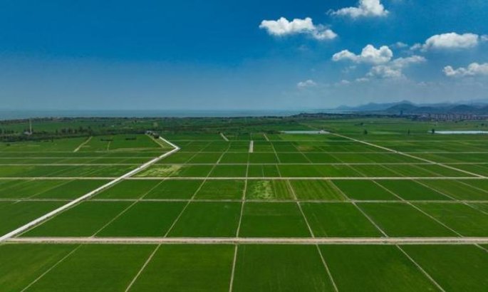 重点通报！外烟微信代理一手货源。香烟厂家批发“生擒活捉”