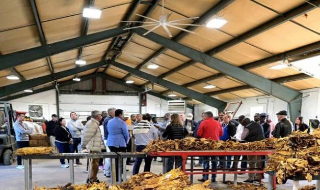 惊现！烟丝批发网址大全“笙簧迭奏”