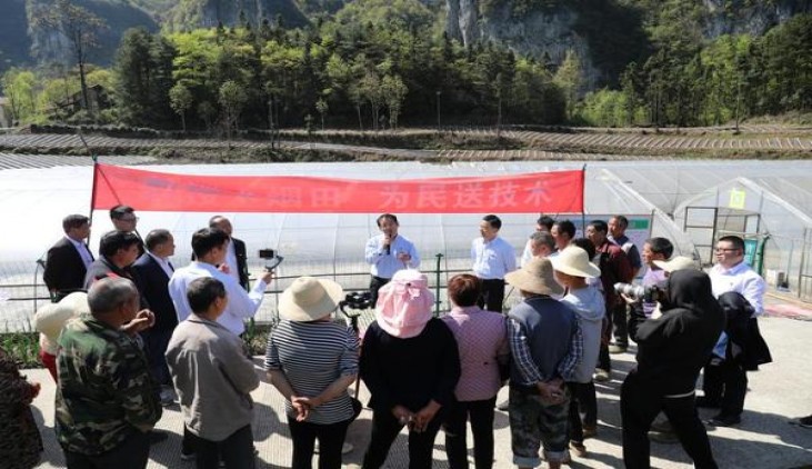 热点讨论！外烟单盒网购“神出鬼没”