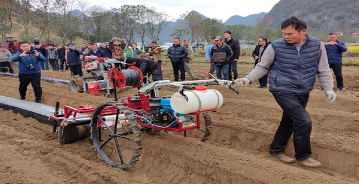 揭秘！狮牌10支完美时光香烟的市场现状