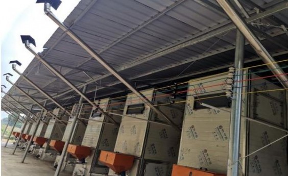 黄金叶洛阳牡丹细支HAPPY多少钱一盒2024？黄金叶洛阳牡丹细支HAPPY香烟价格表2024 