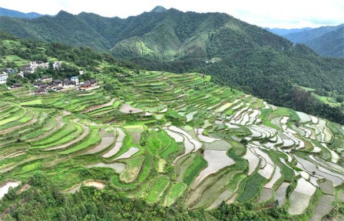 来袭！香烟批发全国货到付款价格【一手交流群】“头重脚轻”