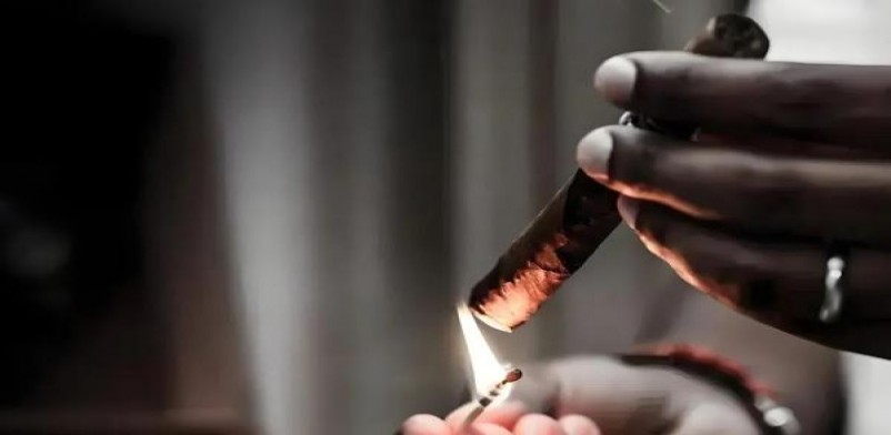 娇子宽窄如意保湿版价格表一览 娇子宽窄如意保湿版价格查询 