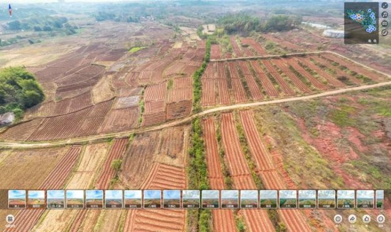 玉溪清香世家多少钱一盒？玉溪清香世家价格查询 