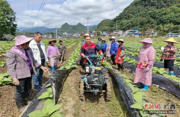 重大来袭！免税正品香烟一手代购“叹为观止”