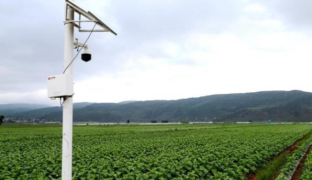 深入解析！黄鹤楼硬全家福探索独特烟草文化与创新工艺的融合