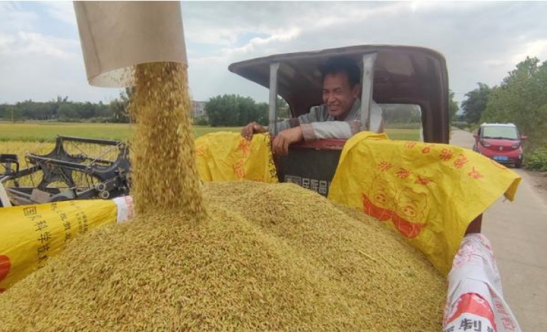 精选！庐山新探索独特烟草文化与创新工艺的融合