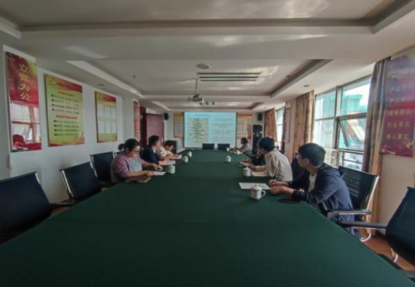 红金龙新硬红精品价钱批发 红金龙新硬红精品价钱批发 