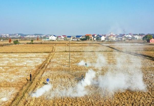 大卫杜夫金装细支多少钱一包？大卫杜夫金装细支价格表一览 