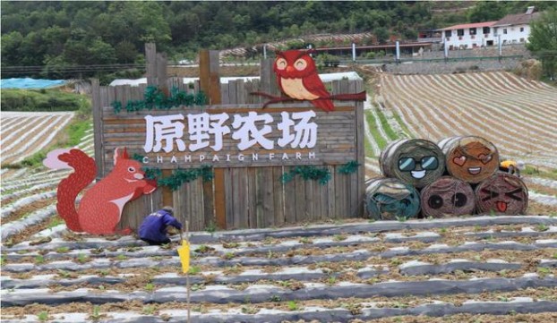 今日公布！求购正品中华烟“学而不倦”
