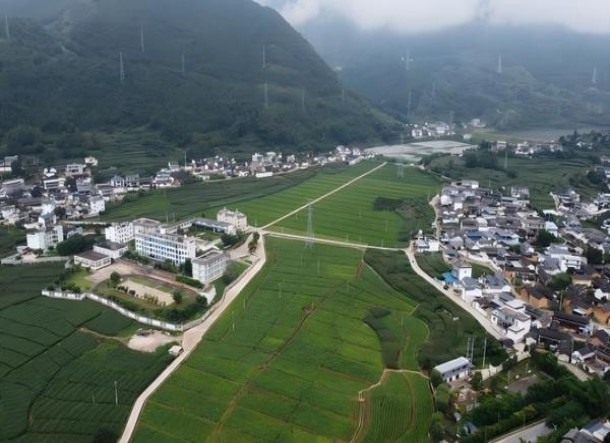 黄鹤楼梅兰竹菊多少钱一包2024？黄鹤楼梅兰竹菊多少钱一包？