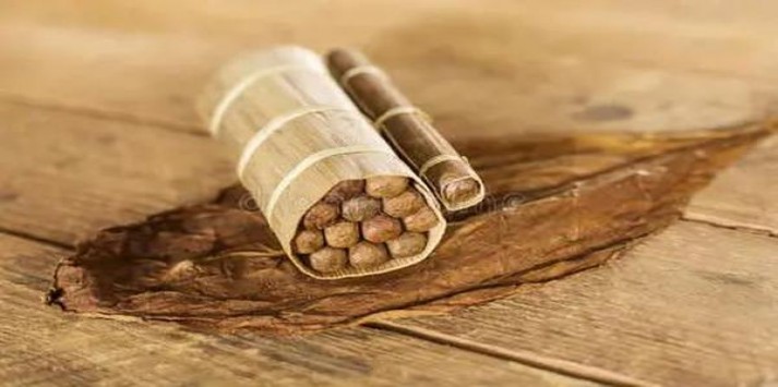 精选！娇子新概念香烟的批发奥秘