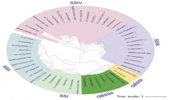 深度解析！玉溪硬和谐香烟一手货源价格及购买渠道解析