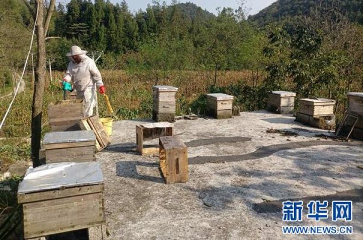 独家报道！澳门哪里的烟最便宜“山崩地裂”