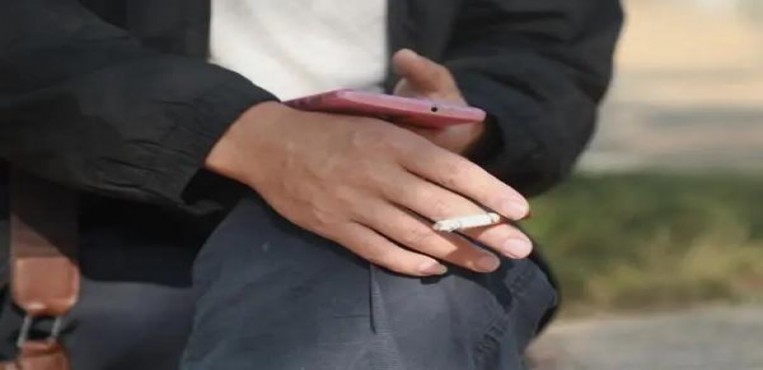 揭秘！黄鹤楼硬辛亥100金云霄烟选购全攻略,品牌甄选与安全购买指南