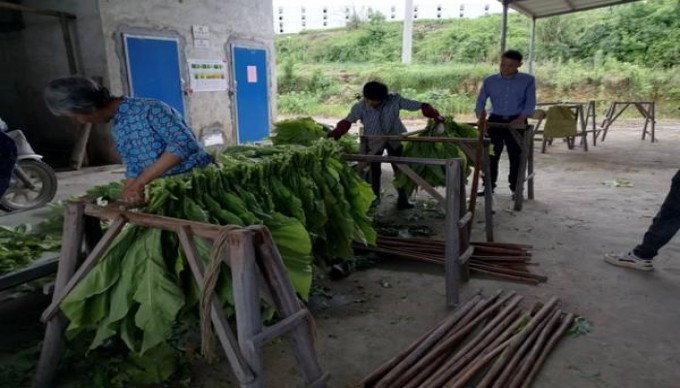 万宝路(Fine Touch Less Smell 乌克兰版)一手货源，万宝路(Fine Touch Less Smell 乌克兰版)多少钱一盒2024？