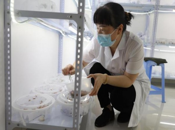 玉溪方胜多少钱一盒2024？玉溪方胜价格表图一览表 