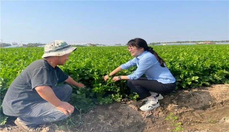 独家报道！云霄香烟批发渠道微信“惊天动地”