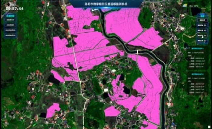 七匹狼(翠碧壹号)厂家批发，七匹狼(翠碧壹号)多少钱一盒？