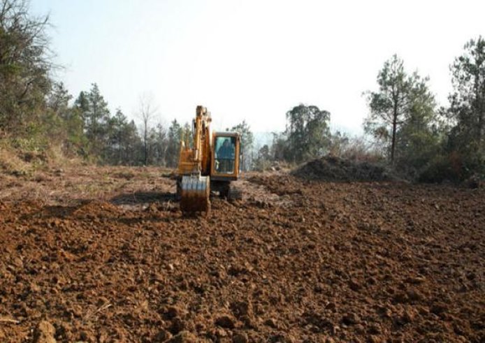 长沙喜什么价格？长沙喜价格表和图片