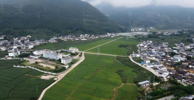 深入解析！娇子软祥云香烟的市场现状