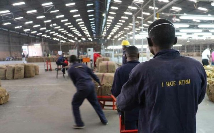 深度解析！骆驼蓝新版香烟的市场价格解析