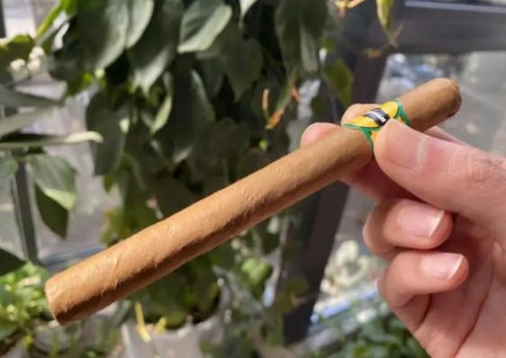 头条！正品外烟网上商城“一清二白”