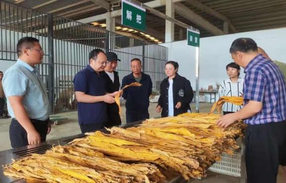 兰州软珍品什么价格？兰州软珍品多少钱一盒2024？