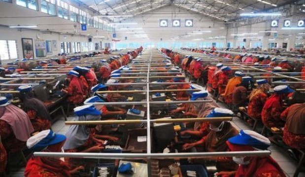 娇子(宽窄)厂家直销，娇子(宽窄)多少钱一包2024？