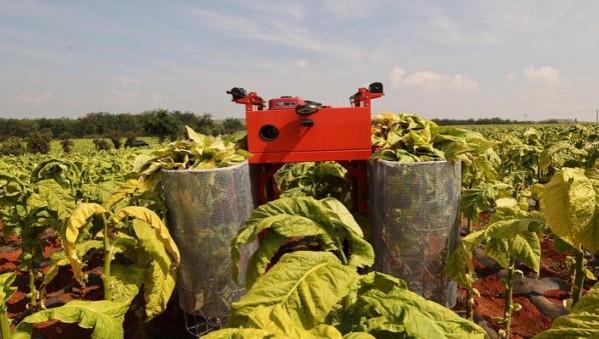 惊现！卡比龙香烟官网“评头论足”