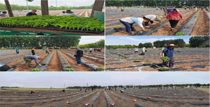 国宝欢乐价格表一览 国宝欢乐香烟价格表2024 