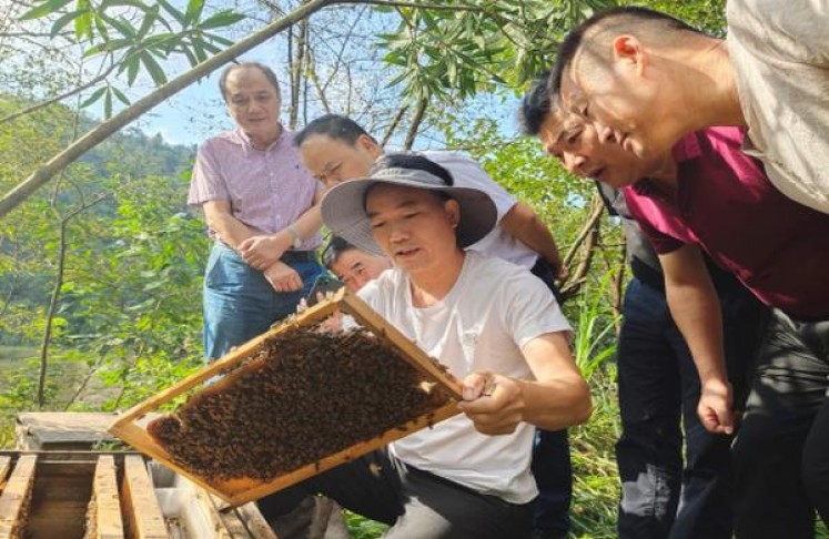 终于发现！云霄香烟网上批发商城“大敌当前”