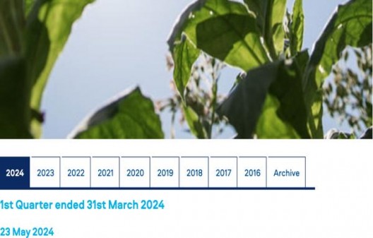 黄鹤楼(雪之梦7号5支装)总仓批发，黄鹤楼(雪之梦7号5支装)多少钱一盒2024？