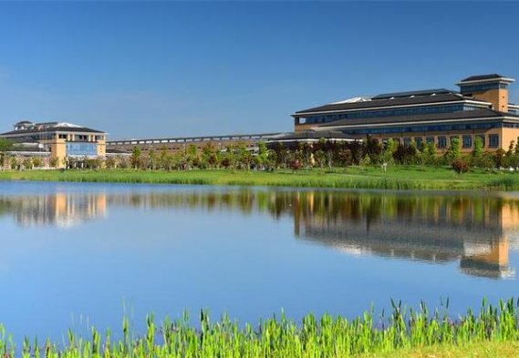 重点通报！外烟批发网站的重要性与优势“慷慨就义”