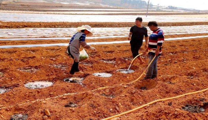 登喜路(黑3mg欧盟免税版)价格表和图片 登喜路(黑3mg欧盟免税版)香烟价格 