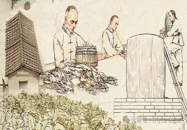 红金龙(D族软红)多少钱一包？红金龙(D族软红)价格查询 