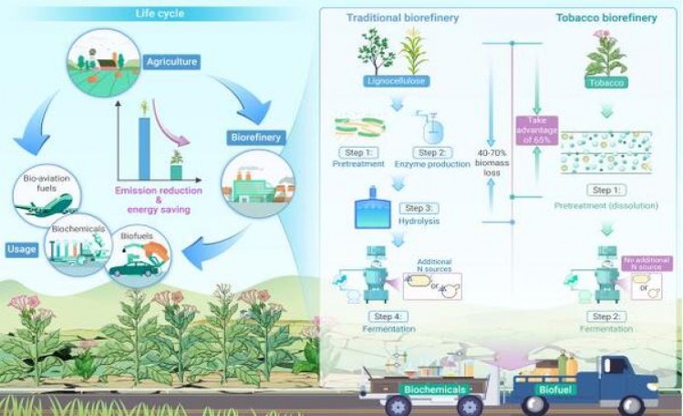 龙凤呈祥(金 遇见)什么价格？龙凤呈祥(金 遇见)价格表一览 