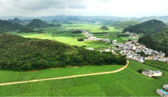 黄鹤楼(天下名楼)多少钱一包？黄鹤楼(天下名楼)什么价格？