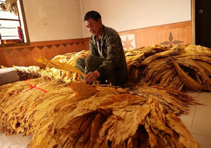 深度解析！红旗渠新世纪批发渠道订货指南及操作手册